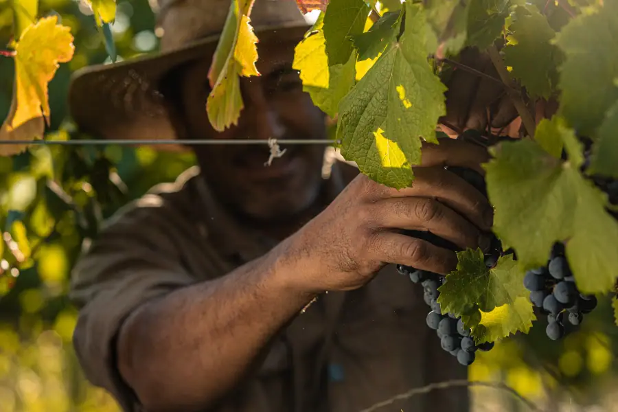 Paciencia